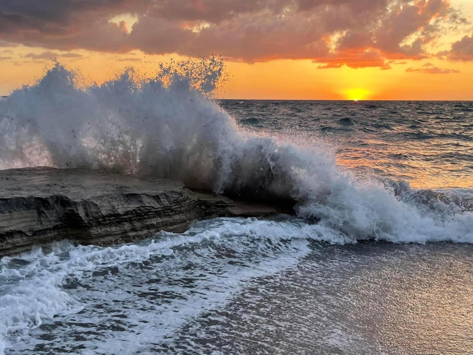Casa Di Sole Ischia Leilighet Eksteriør bilde
